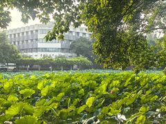 -西南交通大学(九里校区)