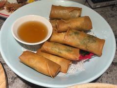 春卷-新白鹿餐厅(松江开元地中海店)