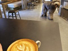 -KUDDO COFFEE(天河城店)
