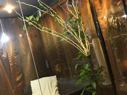 -轩舞汇·爵士舞街舞训练营