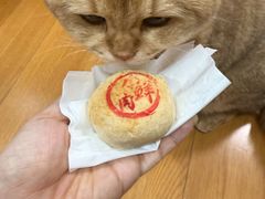 -梦菲思饼屋(瑞金宾馆店)