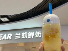 -兰熊鲜奶(西直门凯德mall店)