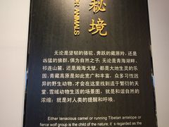 -青藏高原自然博物馆