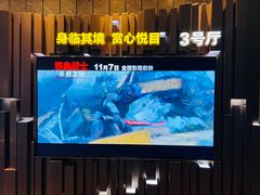-武商摩尔影城(国广IMAX激光店)