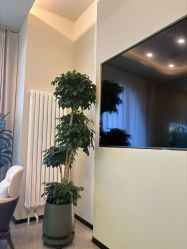 -卡尔诗·科技美肤连锁