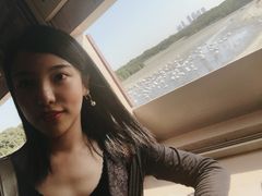 -迪拜帆船酒店海底餐厅