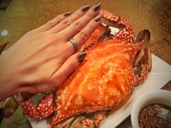 -北塘海鲜·天津菜(大光明桥旗舰店)