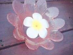-Rimpa Lapin悬崖餐厅