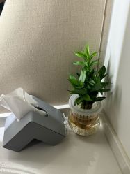 -京世沙龙