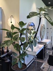 -凯博K-boom Hair Salon