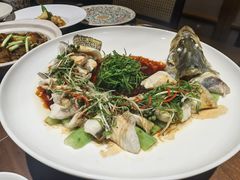 -觅唐MITONG(鸟巢店)
