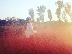 -白鹭湾湿地公园