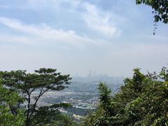 -火炉山森林公园