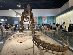 -衢州市博物馆