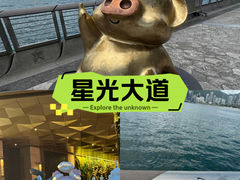 -星光大道