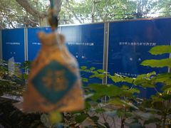 -五观堂素食(新华路店)