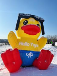-268童话露营农场·烧烤·团建