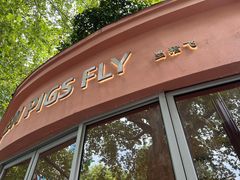 -WHEN PIGS FLY当猪飞