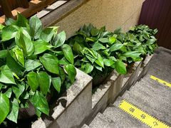 -渔乡米香·剁椒鱼头(四方坪店)