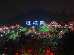 -枇杷园食为鲜火锅(南山店)