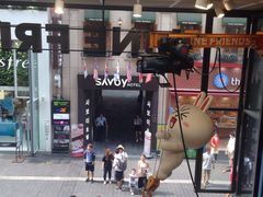 -line friends(明洞旗舰店)