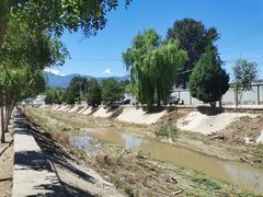 -苏家坨柳林村二月兰花海