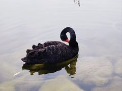 -朝阳公园游乐园