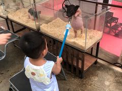 -史努比缤纷世界