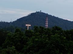 -顺峰山公园