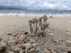 -三亚西岛海洋文化旅游区