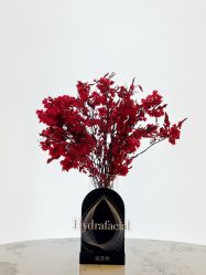 -Fundi张玉珊修身堂·indiba·BTL科技瘦身