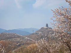 -定都阁