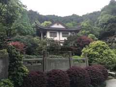 -十八棵（老龙井）御茶园(老龙井店)