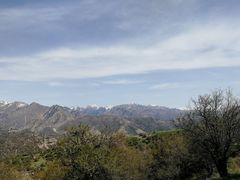 -中华福寿山