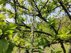 -中国移动南方基地