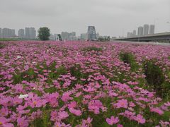 -汉江湾体育公园