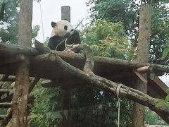-武汉动物园