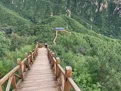 -大岭沟猕猴桃谷风景区