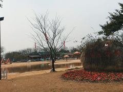 -鹅湖玫瑰文化园