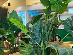 -SENTEA森茶(麦地丽日店)