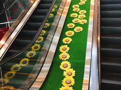 -招商银行(上海分行营业部)