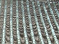 -悦城龙母祖庙