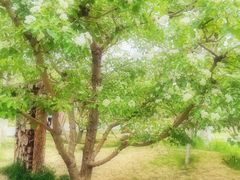 -回龙观体育文化公园
