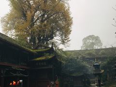 -天师洞道家食堂