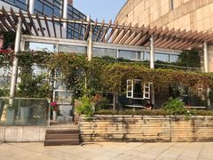 -顺德演艺中心大剧院