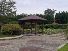 -嘉定紫藤园
