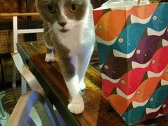 -MIKAKU(万达广场上海宝山店)