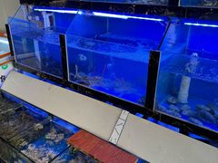 -老东风菜馆·潮汕大排档