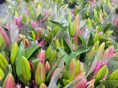 -三圣花乡旅游区