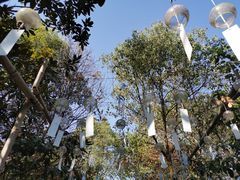 -洪湖悦兮半岛国际温泉度假村